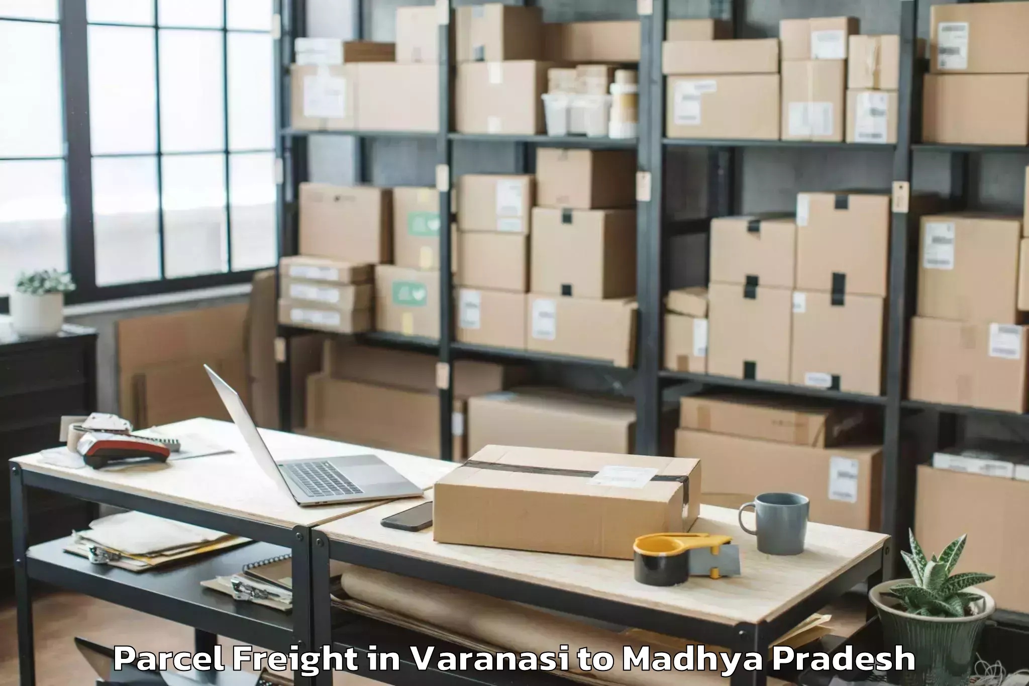 Quality Varanasi to Medi Caps University Indore Parcel Freight